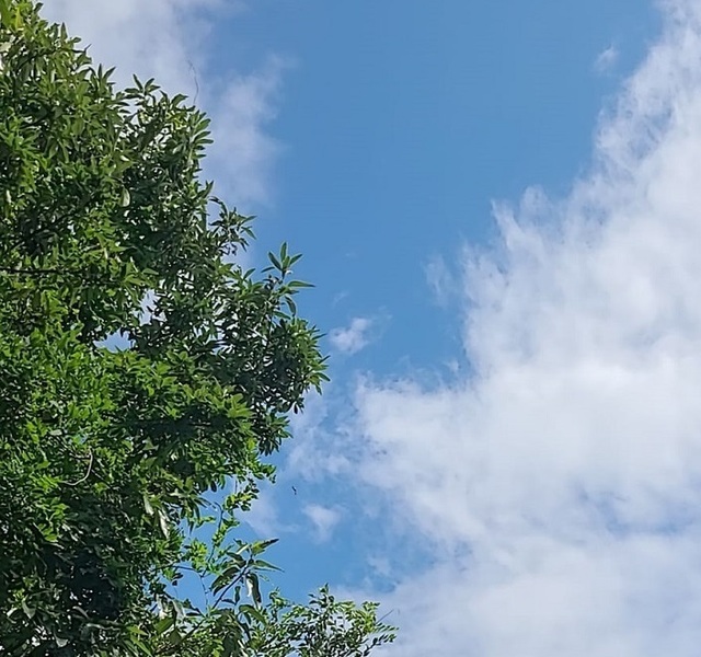 449394019_3374669306168923_5594132541301251979_n.jpg