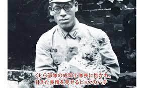 ダウンロード.jfif