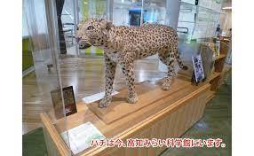 ダウンロード (1).jfif